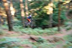 DSC_0589.JPG