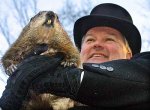 marmota-phil.jpg