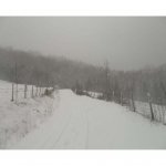 02 FEBRERO 2012 A URKIOLA 005.jpg
