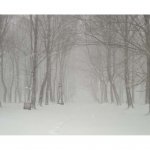 02 FEBRERO 2012 A URKIOLA 016.jpg