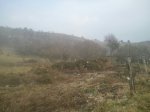 IMG-20120202-WA0002.jpg