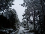 DSC00115.jpg