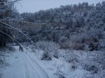 DSC00117.jpg