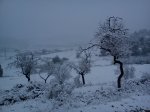 DSC00119.jpg