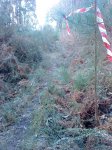 DSC05758.JPG