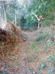 DSC05759.JPG