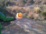 IMG00334-20120202-1648.jpg