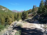 100_28081.jpg