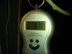 DSC006083.JPG