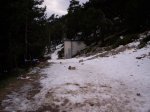 100_2860.jpg
