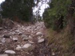 100_2869.jpg