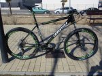 BICI 1.jpg