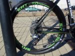 BICI 7.jpg