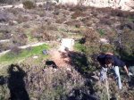 IMG-20120203-WA0002.jpg
