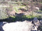 IMG-20120203-WA0003.jpg