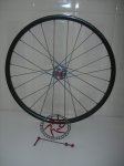 DSCN5316.JPG
