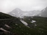 Gavia.JPG
