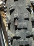 DSC04763_redimensionar.JPG