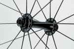 AntPower50-38.jpg