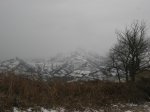 IMG_2816.JPG