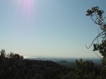 SAM_0368 (Copiar).JPG