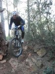 SAM_0369 (Copiar).JPG