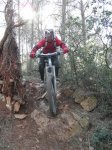 SAM_0373 (Copiar).JPG