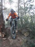 SAM_0377 (Copiar).JPG