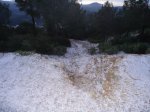 DSC03710.JPG