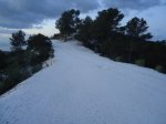 DSC03707.JPG