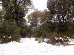 050220124192_1024x768.jpg