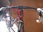 IMG_20120129_135517_800x600.jpg