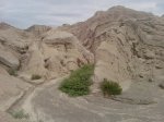 P310112_16.31_[01].jpg