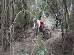 DSC01206.JPG