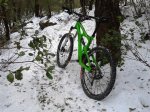 Ibis neu F2012w.jpg