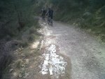 IMG00161-20120205-1210.jpg