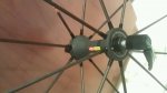 IMG-20120205-WA0001.jpg