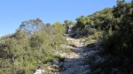 IMG_7932.jpg