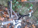 20111116155514.jpg