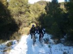 DSC_0094 (Copiar).JPG
