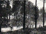 1926 - Tour. 9&#170; etapa, la taves&#237;a de las Landas +.jpg
