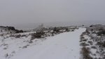 DSC01435.JPG