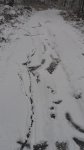 DSC01431.JPG