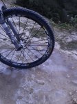 2012-02-04 10.30.19.jpg