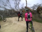 IMG-20120205-02284.jpg