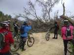 IMG-20120205-02285.jpg