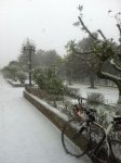 font cavaller nieve.JPG