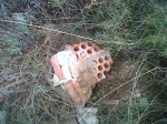 IMG00346-20120206-1115.jpg