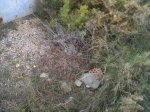 IMG00347-20120206-1115.jpg