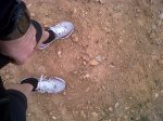 IMG00351-20120206-1144.jpg